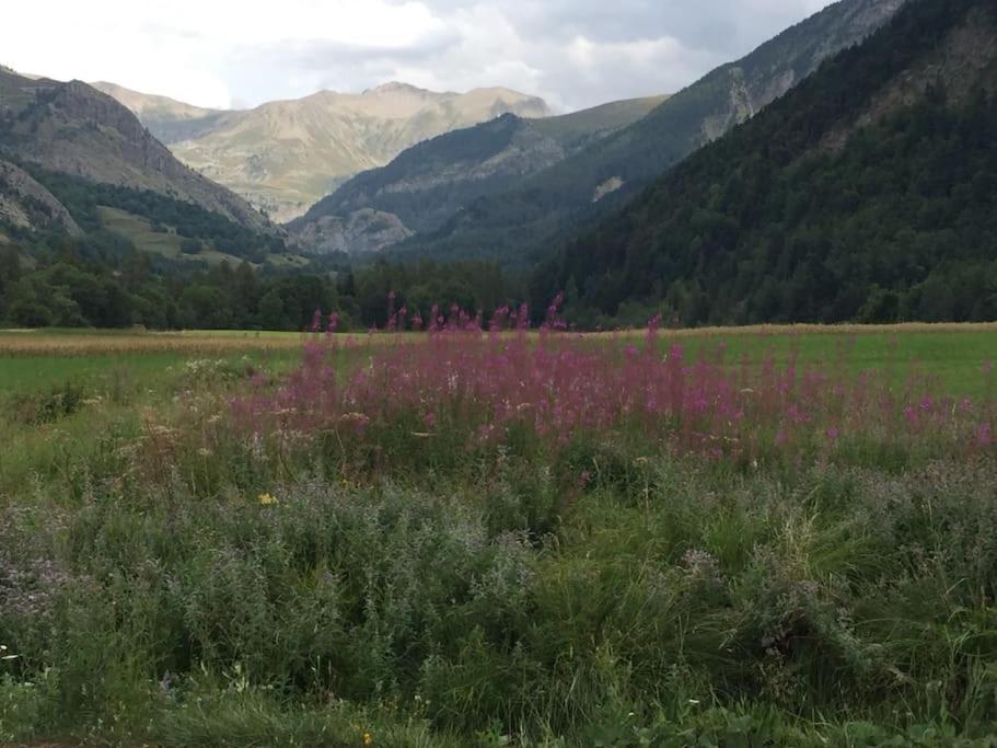 Appart Tres Ensoleille 5-6 Pers Au Pied Des Pistes Ancelle Exterior foto